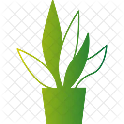 Aloe Vera Pflanze  Symbol