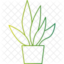 Aloe Vera Pflanze  Symbol