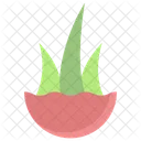 Aloe Vera Pflanze  Symbol