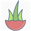 Aloe Vera Pflanze  Symbol