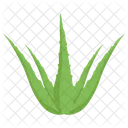 알로에베라 식물  아이콘