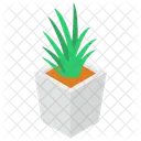 알로에베라 식물  아이콘