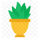 Aloe Vera Plant  Icon
