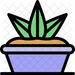 Aloe Vera Plant  Icon