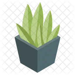 Aloe Vera Plant  Icon