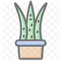 Aloe Vera Plant In Pot  Icon
