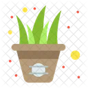 Aloe Vera Pot  Icon