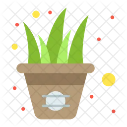 Aloe vera pot  Icono