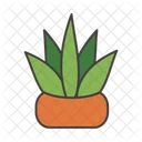Aloe Vera Pot  Icon
