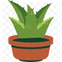 Aloe Vera  Icon