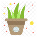 Aloe-Vera-Topf  Symbol