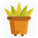 Aloe vera a base de hierbas  Icono
