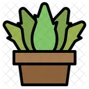 Plant Pot Aloe Icon