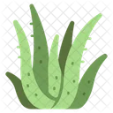 Leaf Vera Aloe Icon