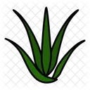 Plant Herbal Aloe Icon
