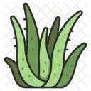 Aloevera  Icon