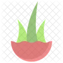 Aloevera Plant  Icon