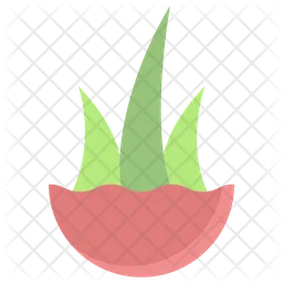 Aloevera Plant  Icon