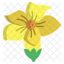 Alokananda Flower Flowers Icon