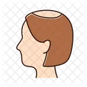 Alopecia  Icon