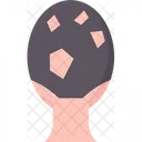 Alopecia  Icon