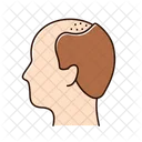 Alopezie  Icon