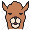 Llama Alpaca Mamifero Icono