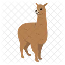 Alpaca Llama Mammal Icono