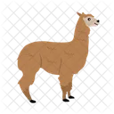 Alpaca Llama Mammal Icono