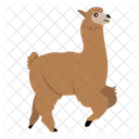 Alpaca Llama Mammal Icono