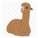 Alpaca Llama Mammal Icono
