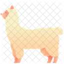 Alpaca  Icono
