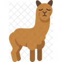 Alpacas  Icon