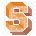 S Letter Capital Icon