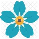 Alpine Flower  Icône