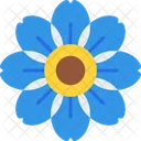 Alpine Forget Me Not  Icon