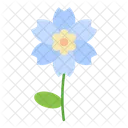 Nature Flower Blossom Icon