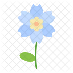Alpine Forget Me Not  Icon