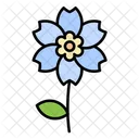 Nature Flower Blossom Icon
