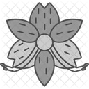 Alstroemeria Flower Decoration Icon