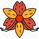 Alstroemeria  Icon