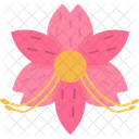 Alstroemeria  Icono