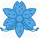 Alstroemeria  Icon