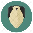 Alt Samurai Haar Icon