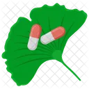 Alternative Medicine Holistic Medicine Natural Healing Icon