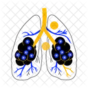 Alveoli  Icon