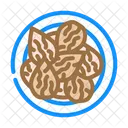 Amandes Vegetalien Nourriture Icône