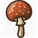 Seta Hongos Hongo Icono