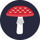 Amanita Mushroom  Icon