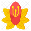 Hibisco amarelo  Icon